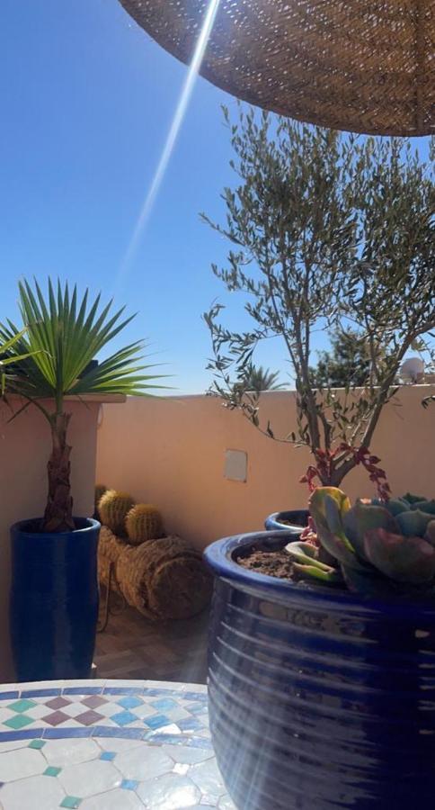 Darnooz * Marrakesh