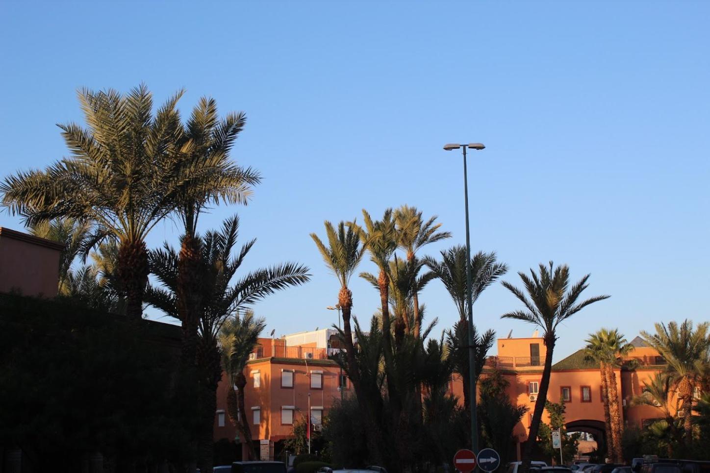 Darnooz Marrakesh