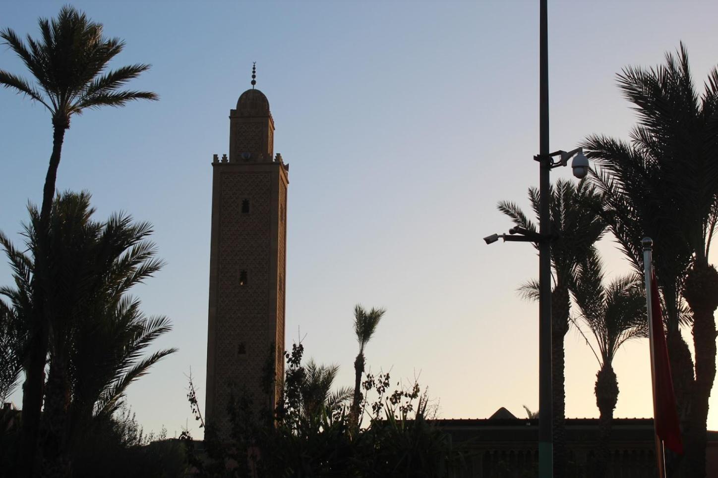 Riad Darnooz